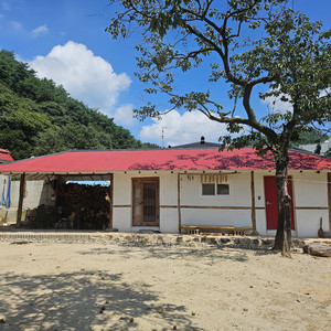 조용히 전해지는 떨림