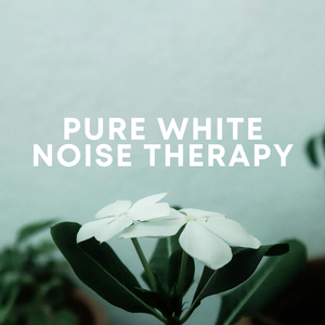 Pure White Noise