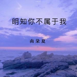 明知你不属于我（翻自 威仔）