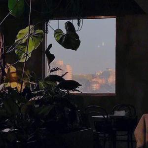 免费丨看不清（Prod by 10Ri）