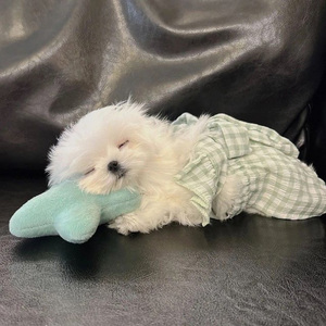 音频提取_191140_track1