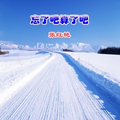 忘了吧算了吧