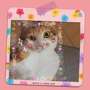 每晚想你ヾ(｡｀Д´｡)/(Prod. Topiboi)