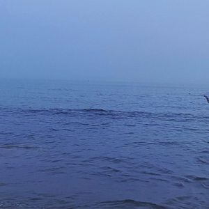 独行千山亦难自渡