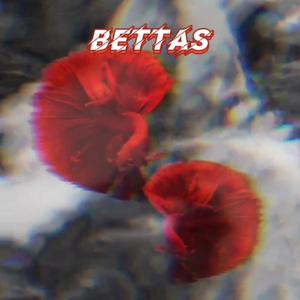 Bettas