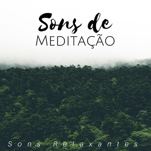 Treinamento de Mente