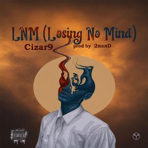 LNM (losing no mind)