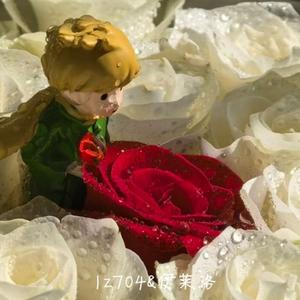 花（prod Daisy Beat）