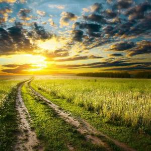 相册里的无数浪漫