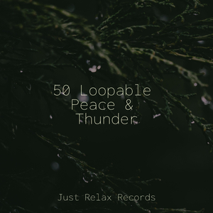 Autumn's Bittersweet Embrace