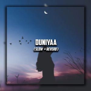 Duniyaa (Slow + Reverb)