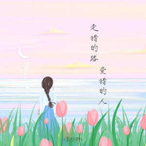 走错的路爱错的人 (伤感版)
