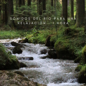 Sonidos Del Río Para Una Relajación - 1 Hora