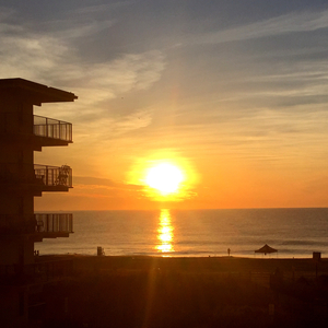 Floppa (September 10th, 1935)