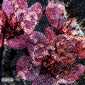 RADIATE (feat. Yammo)