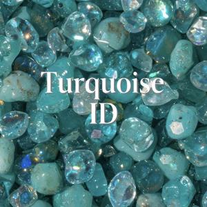 Turquoise ID