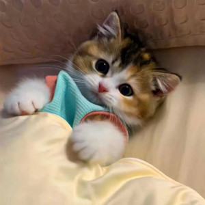 室内系的TrackMaker（法修散打）张快玉