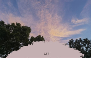 浪漫主义小红歌（翻自姜云升）