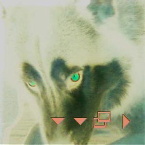 El Rosita Es Un Chorro Que Vive en Euskal Erría