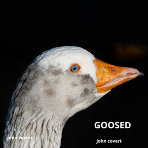 Goosed