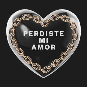 PERDISTE MI AMOR