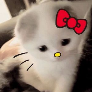 [FREE]“雨停之前” 二次元 x Hyperpop Type Beat