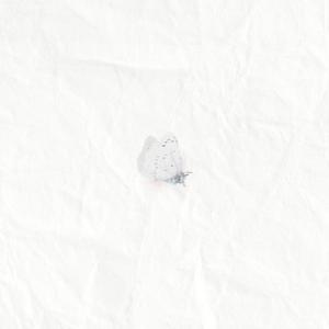 the best feelings in the world