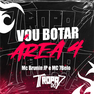vou botar-area 4