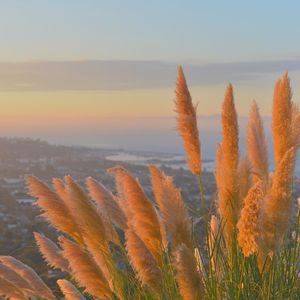 柔和的1小时水疗时刻