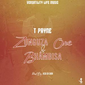 Zvinhu Zvake
