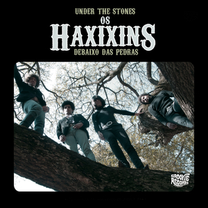 Peregrino Inter Estelar