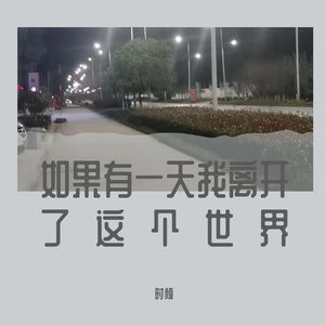 如果有一天我离开了这个世界