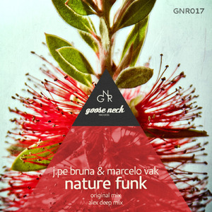 Nature Funk (Original mix)