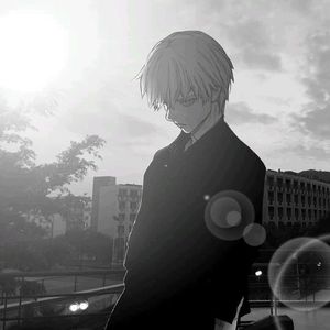 Felling The Light Now