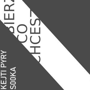 Bierz co chcesz (with s00ka)