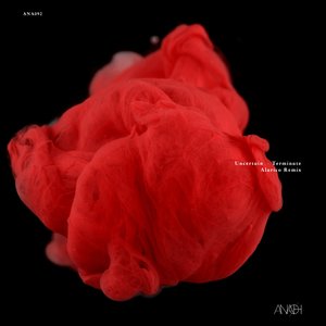 Terminate (Alarico Remix)