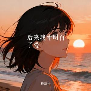 后来我才明白了爱