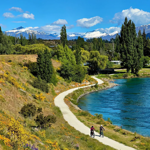 是江南的情长阿