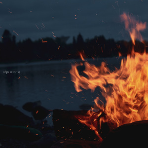 11월의 마지막 밤