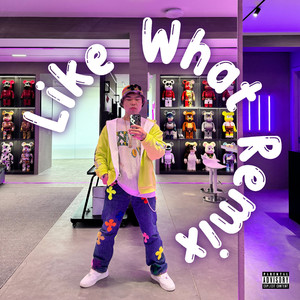 Like What?(Freestyle)Remix