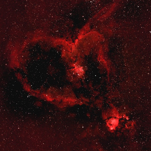 Niere (Original Mix)