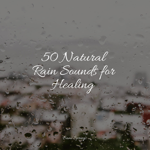 Rain, Vegetation, Wood, Heavy Wind