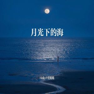 月光下的海