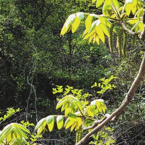 起风了_20220425_182412