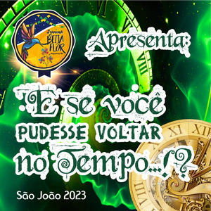 Eu Voltaria no Tempo