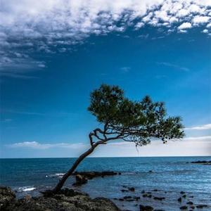 听说你轻描淡写安慰她说从来没爱过我