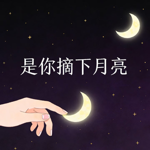是你摘下月亮 (难道先心动的人就能先走掉)