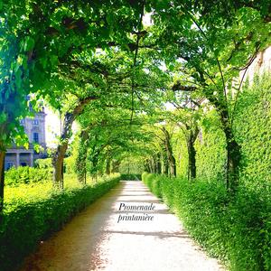 Promenade printanière