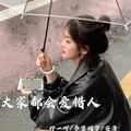 美丽生灵