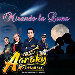 Mirando la Luna
